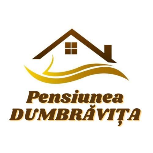 Pensiunea Dumbravita Dumbrava  Екстер'єр фото